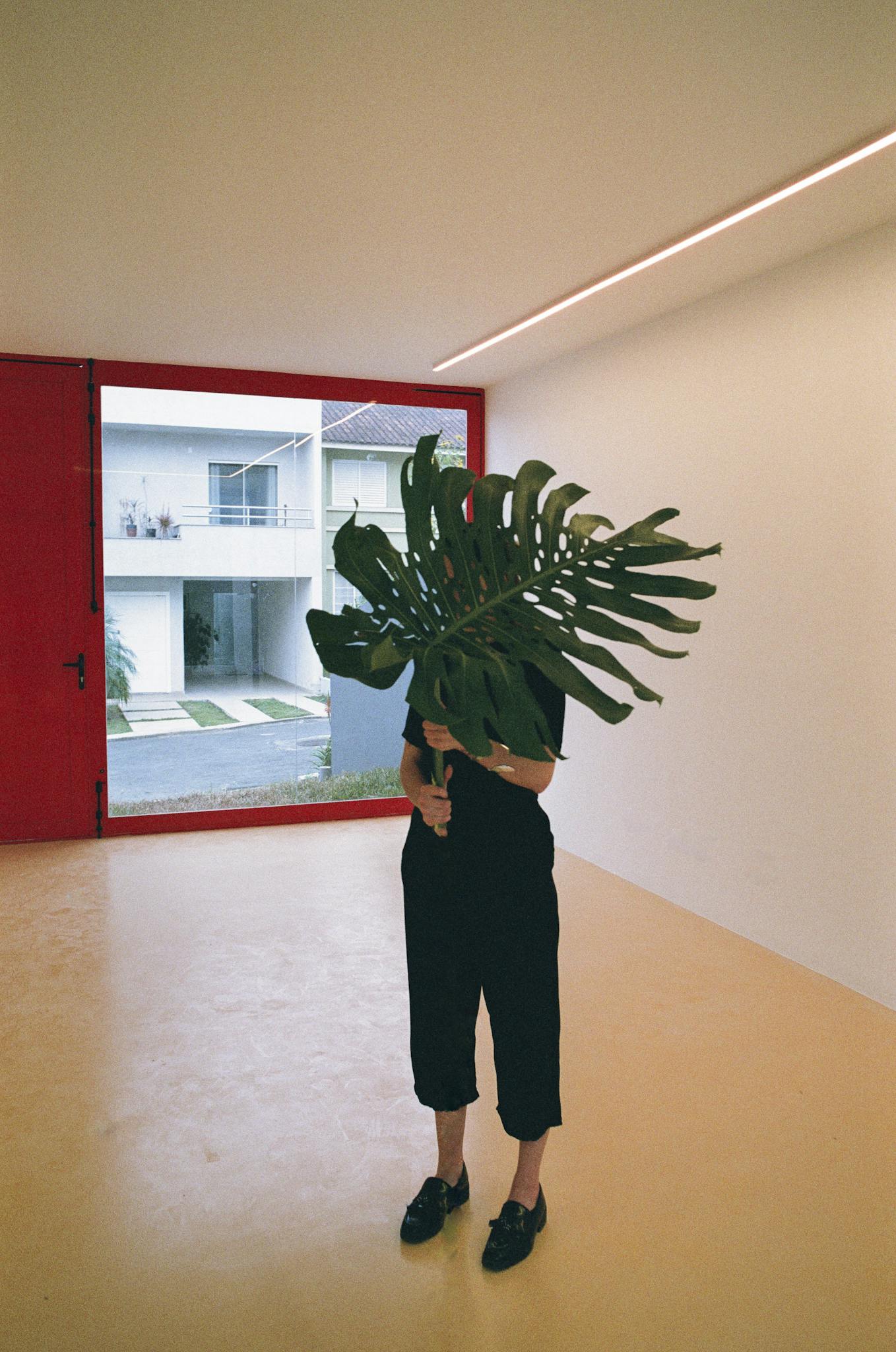 A minimalist interior scene with a person holding a large Monstera leaf, showcasing clean design.
